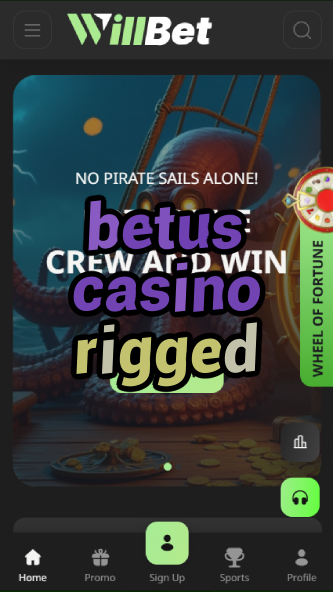 betus casino rigged-asdasdzhjkds.com